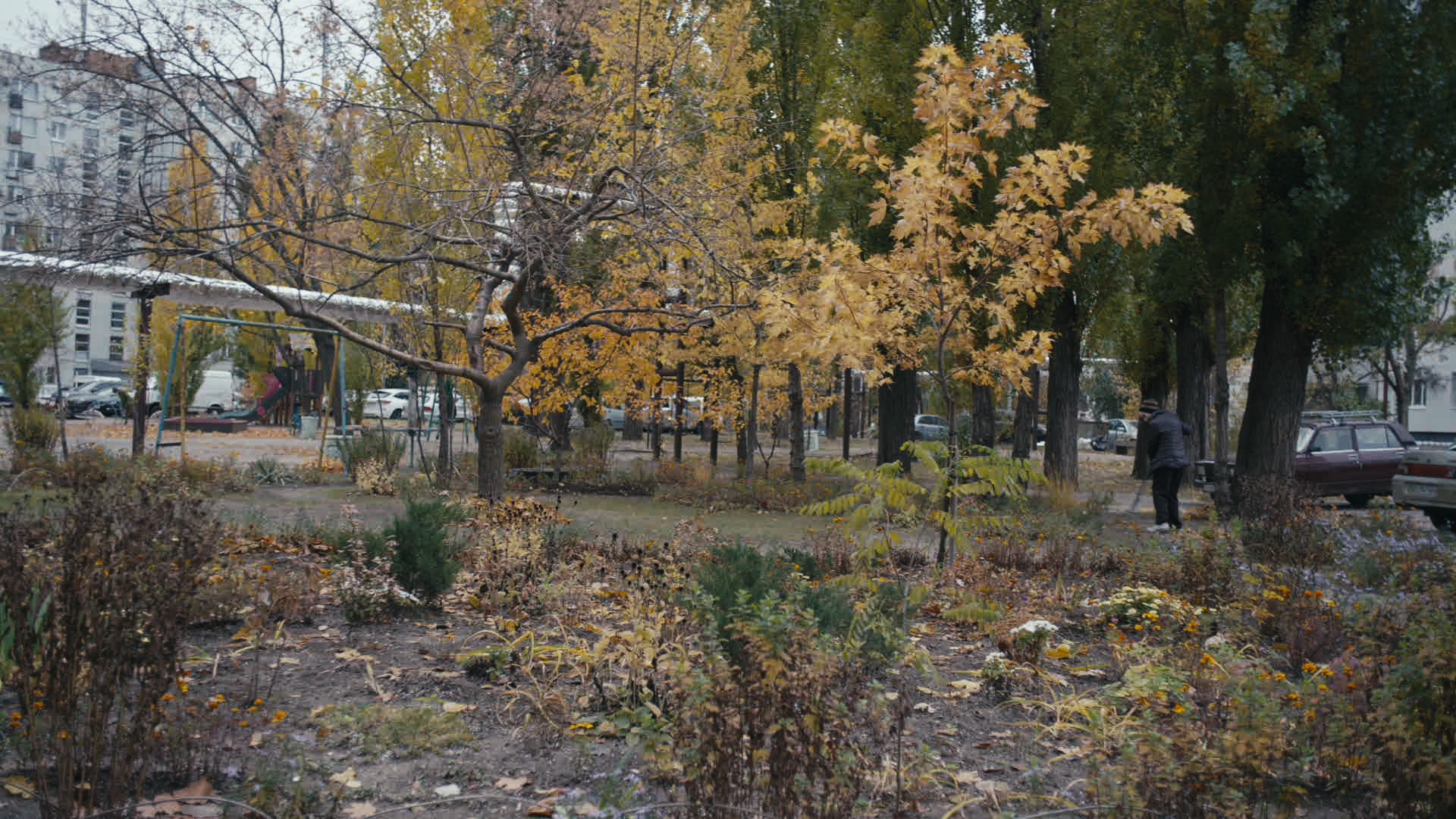 Keyframe: A006C002_220414ZT