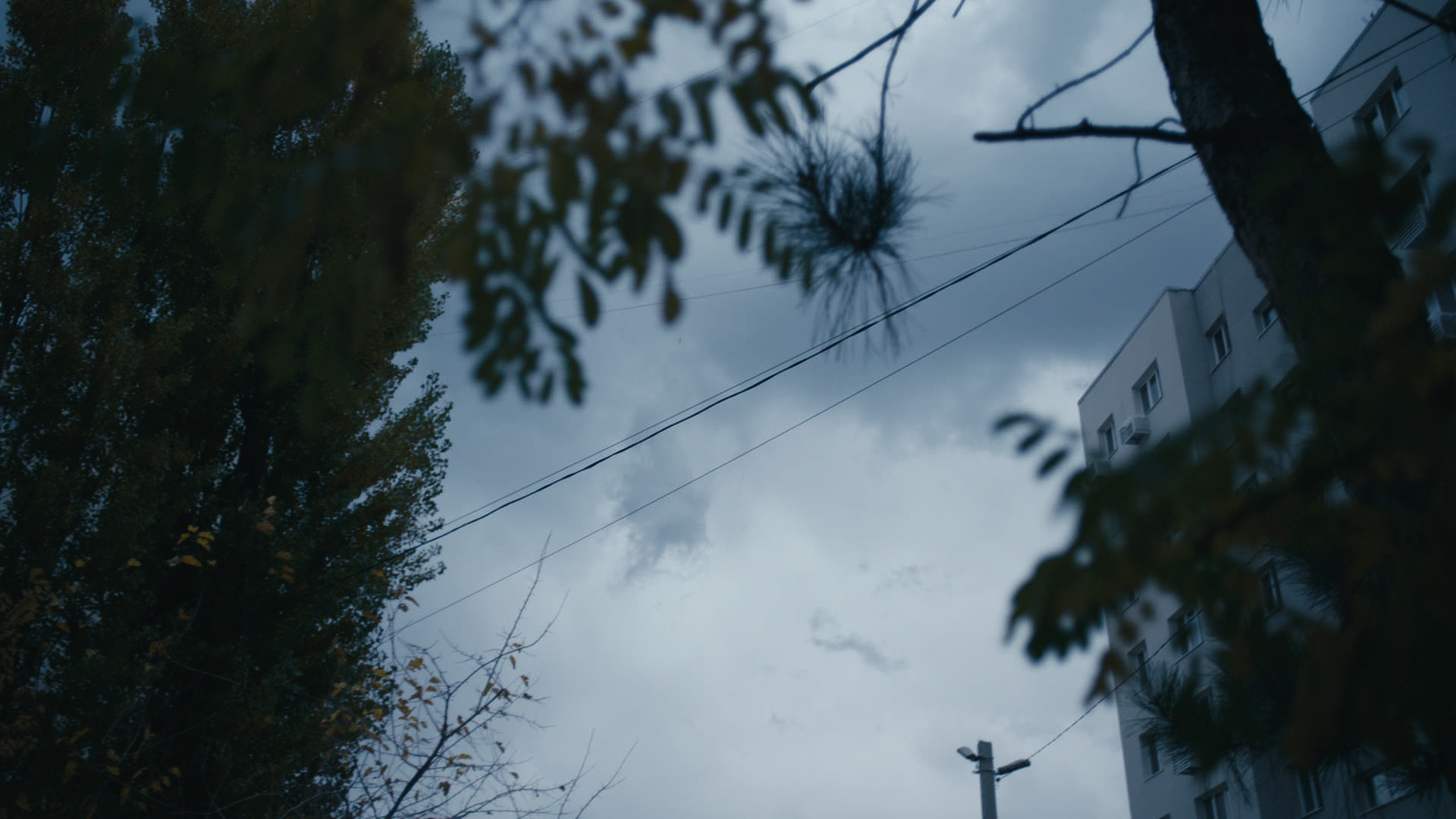 Keyframe: A006C014_22041483