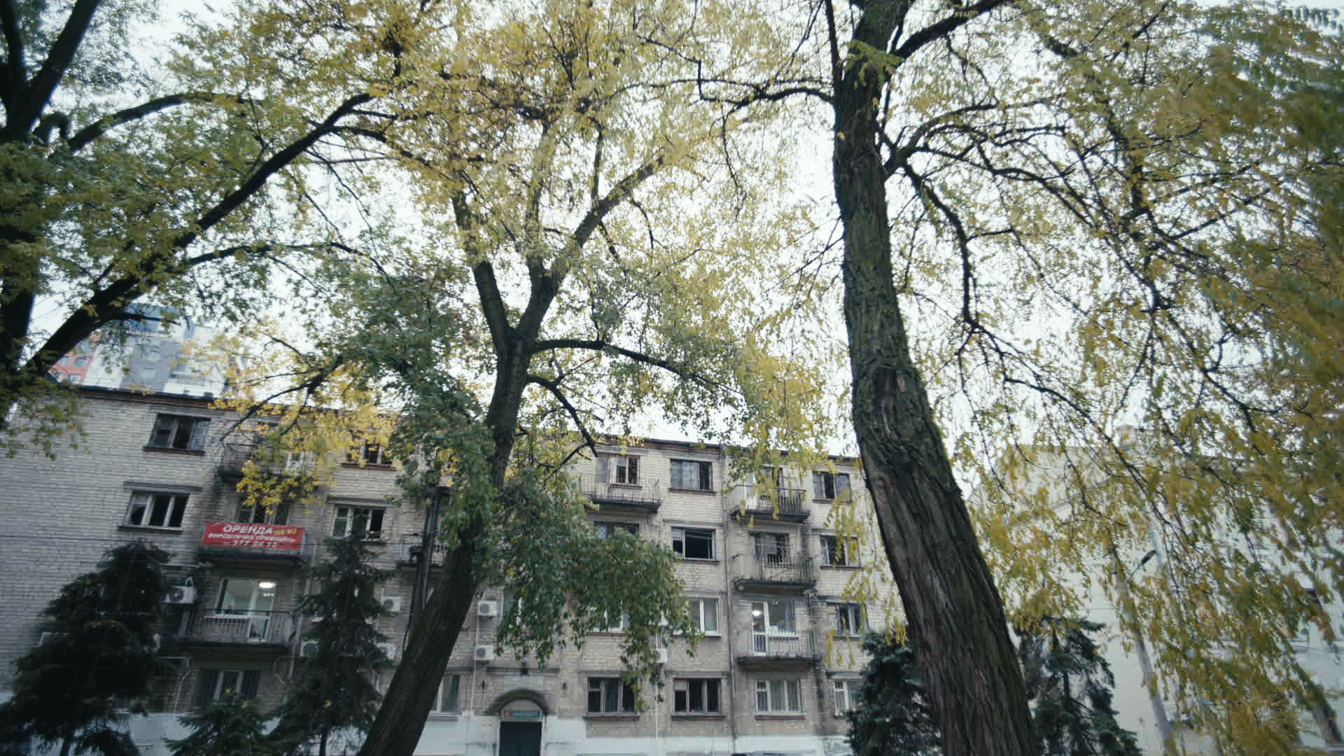 Keyframe: A016C019_2204164N