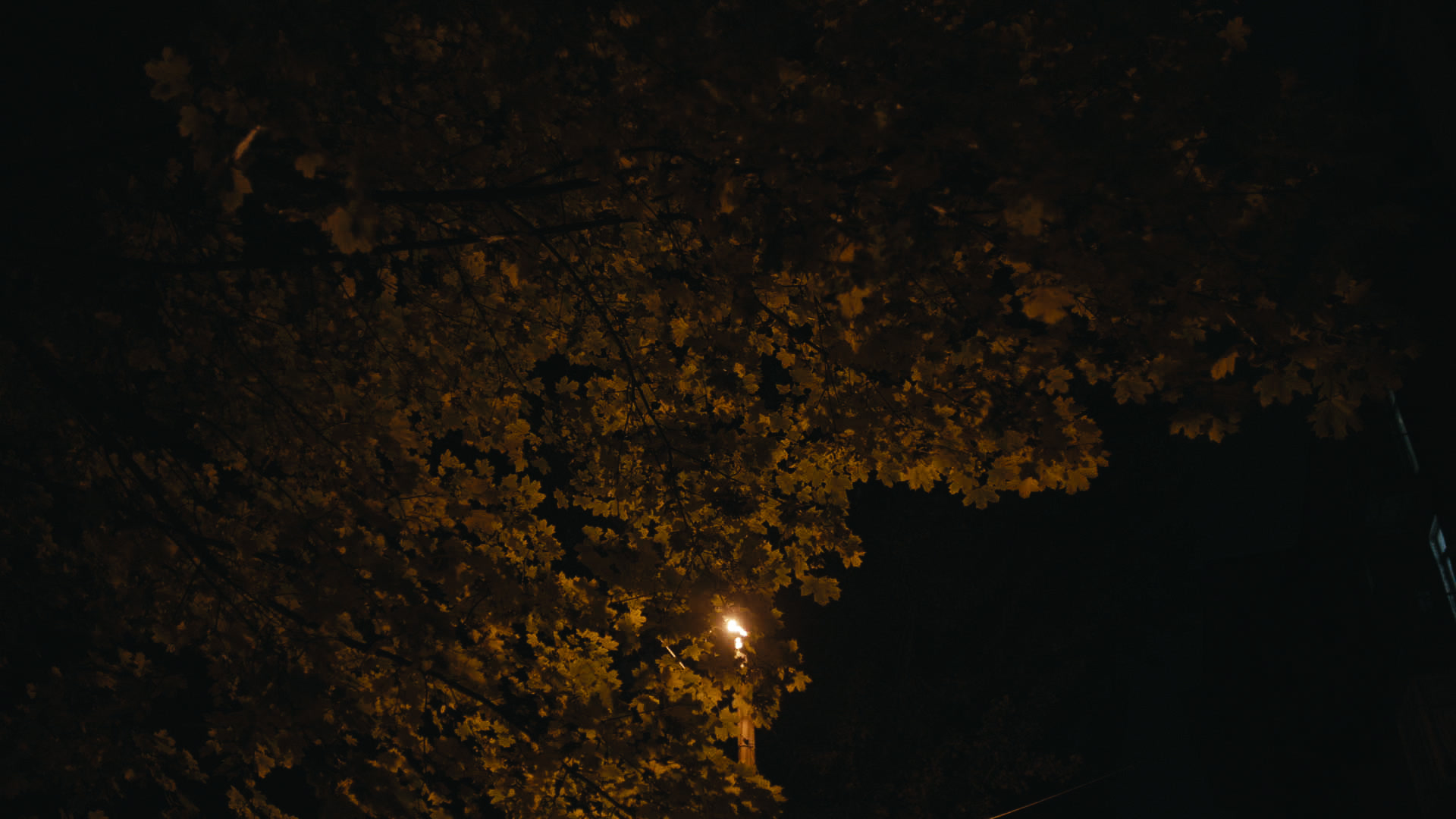 Keyframe: A024C011_220417JC