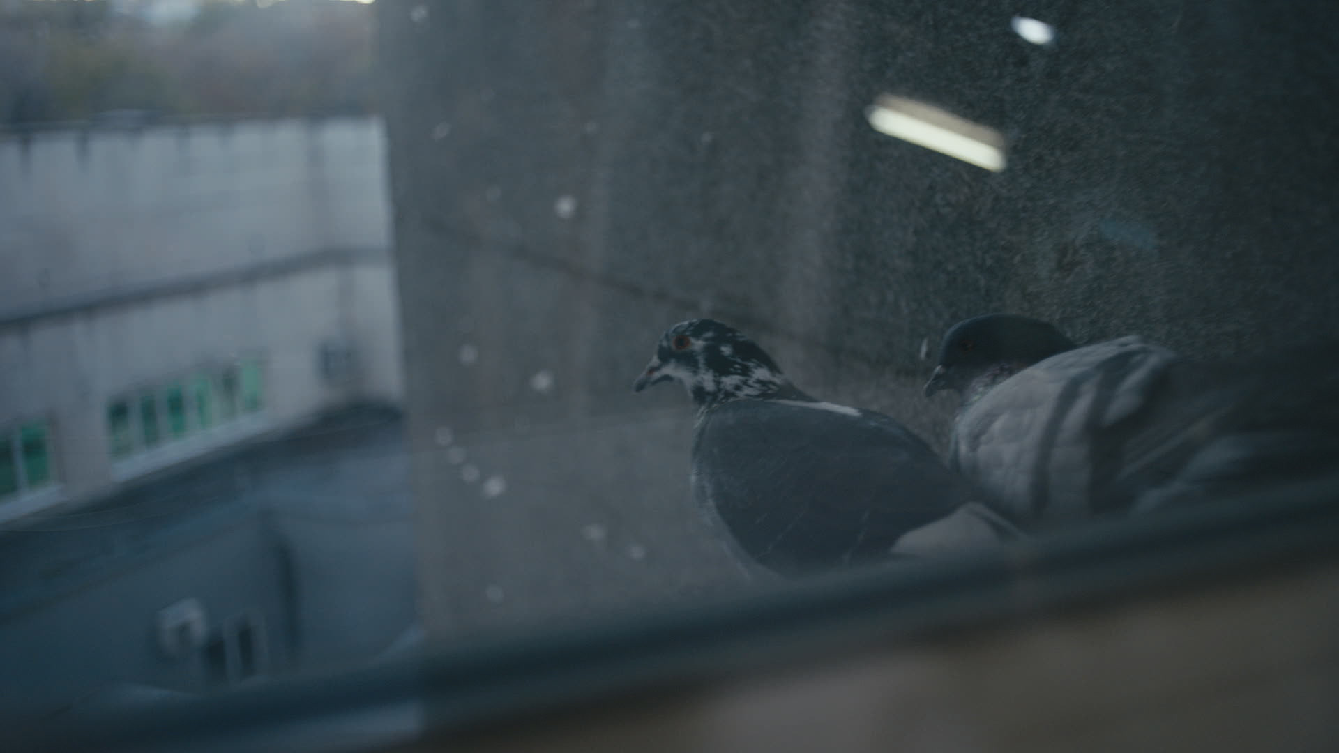 Keyframe: A032C015_220419DM