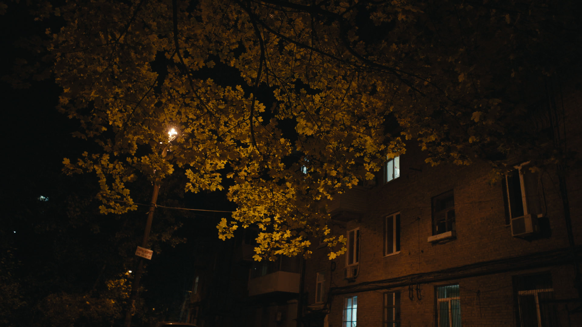 Keyframe: A032C078_220419D0