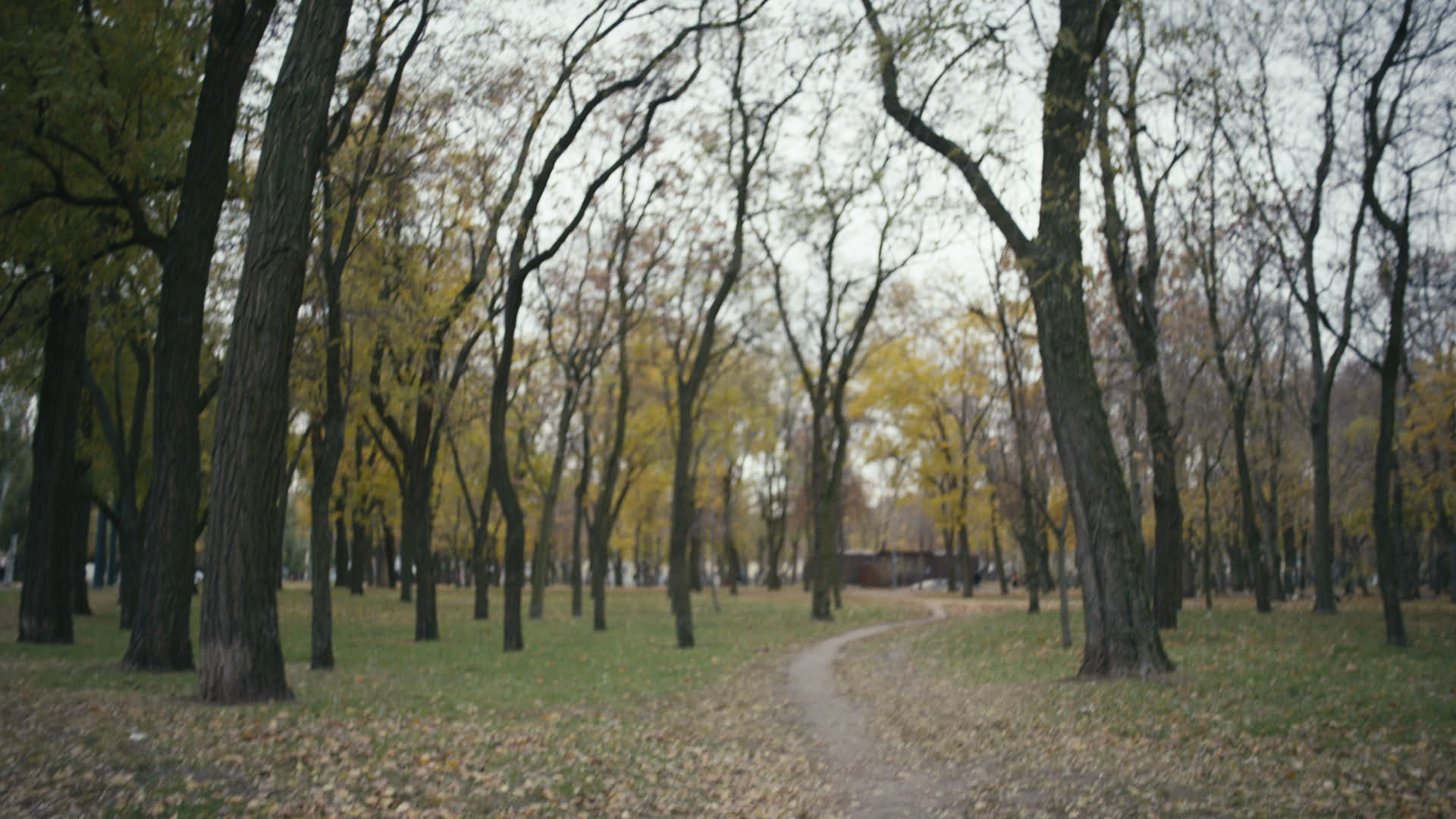 Keyframe: A036C001_220420UC