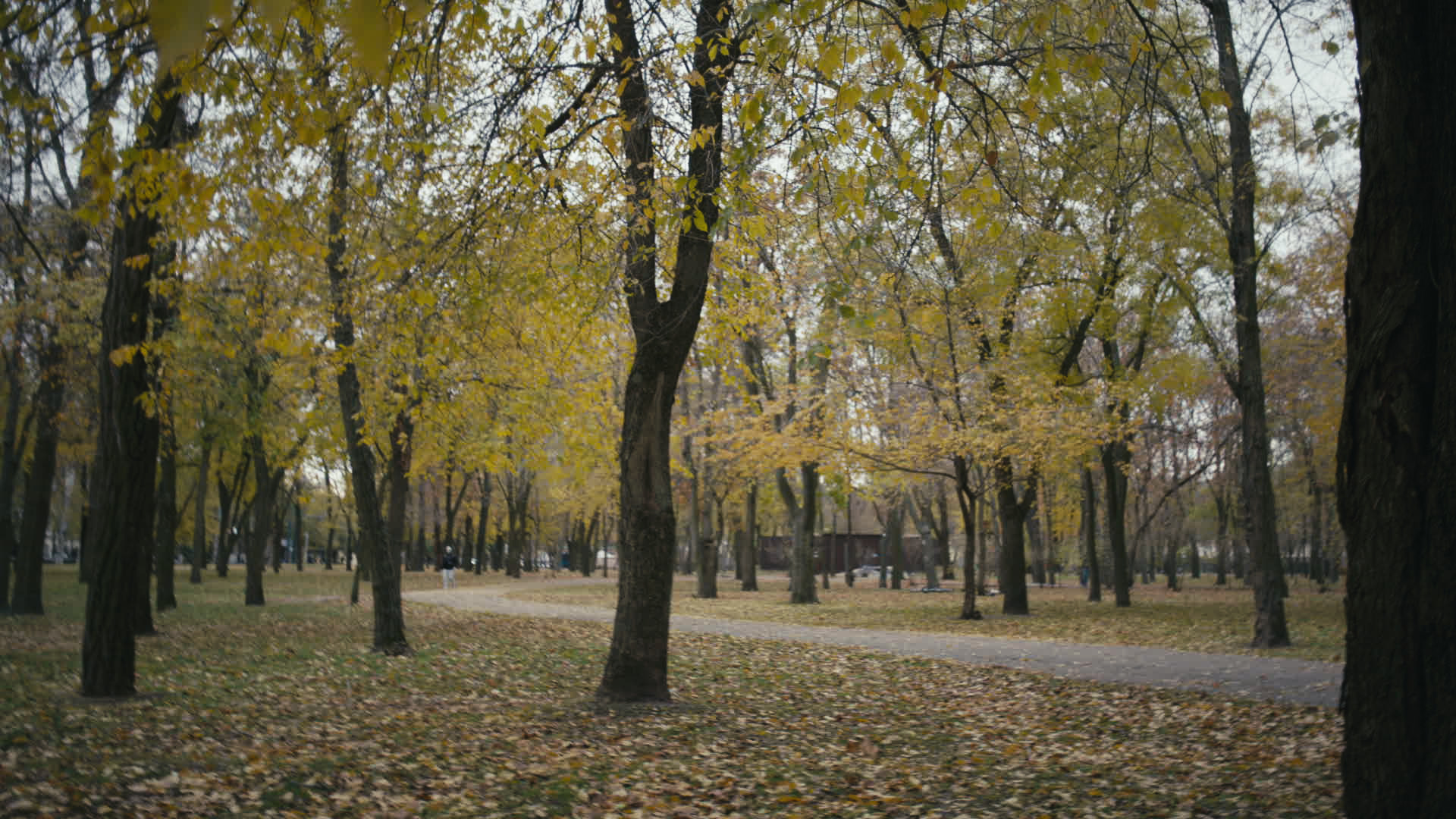 Keyframe: A036C003_220420IN