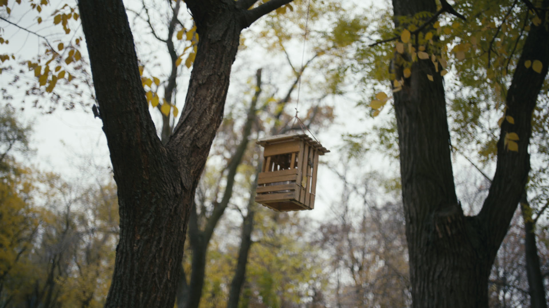 Keyframe: A036C004_220420F1