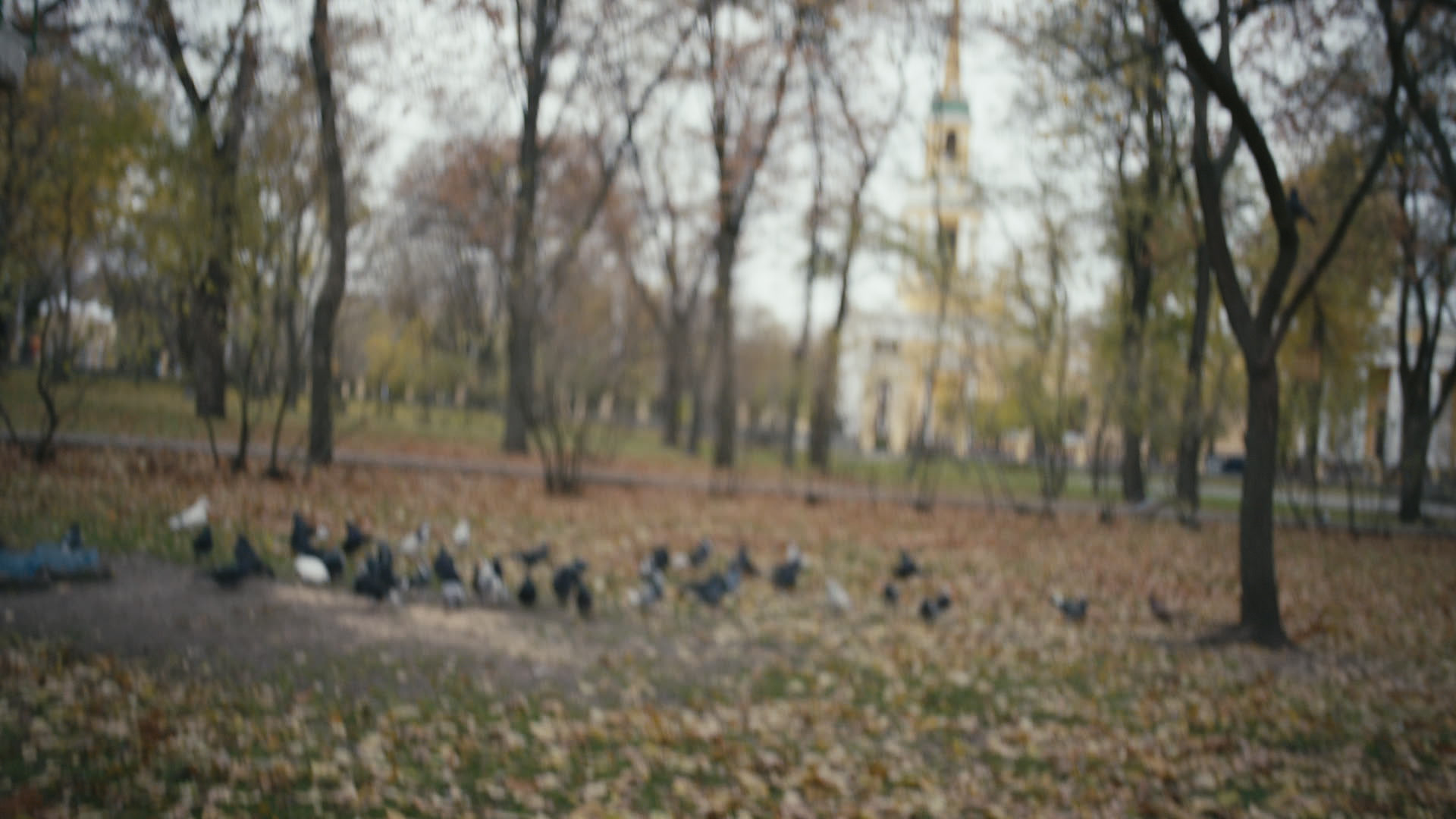 Keyframe: A036C005_220420IY