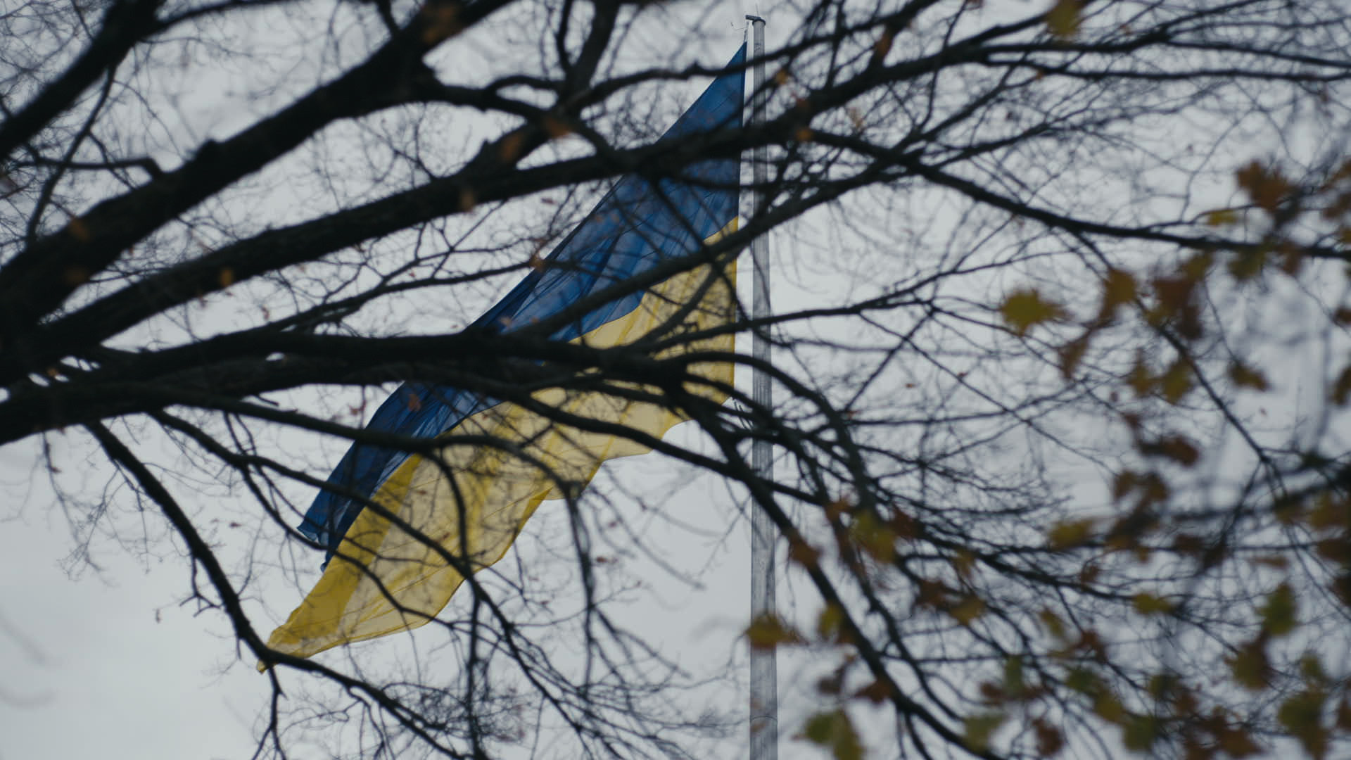 Keyframe: A036C050_220420JP