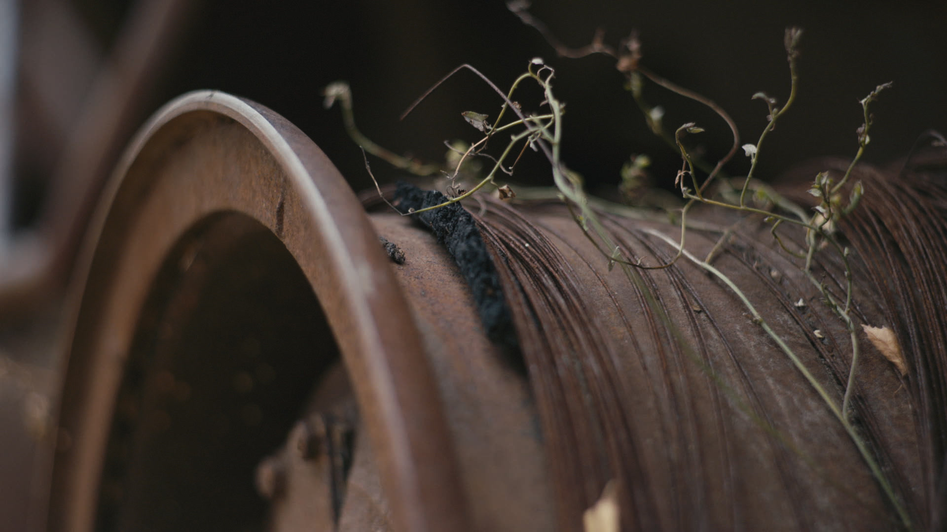 Keyframe: A036C055_220420YH