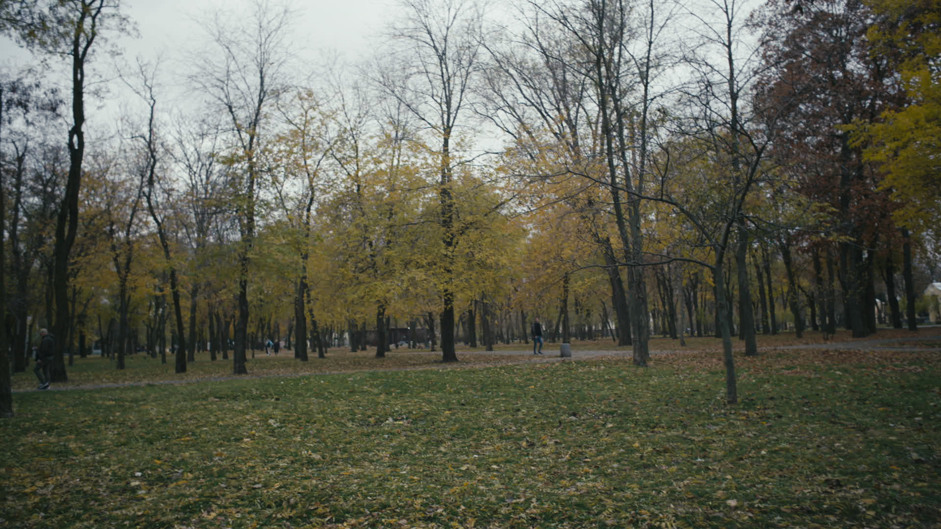 Keyframe: A036C099_2204208I