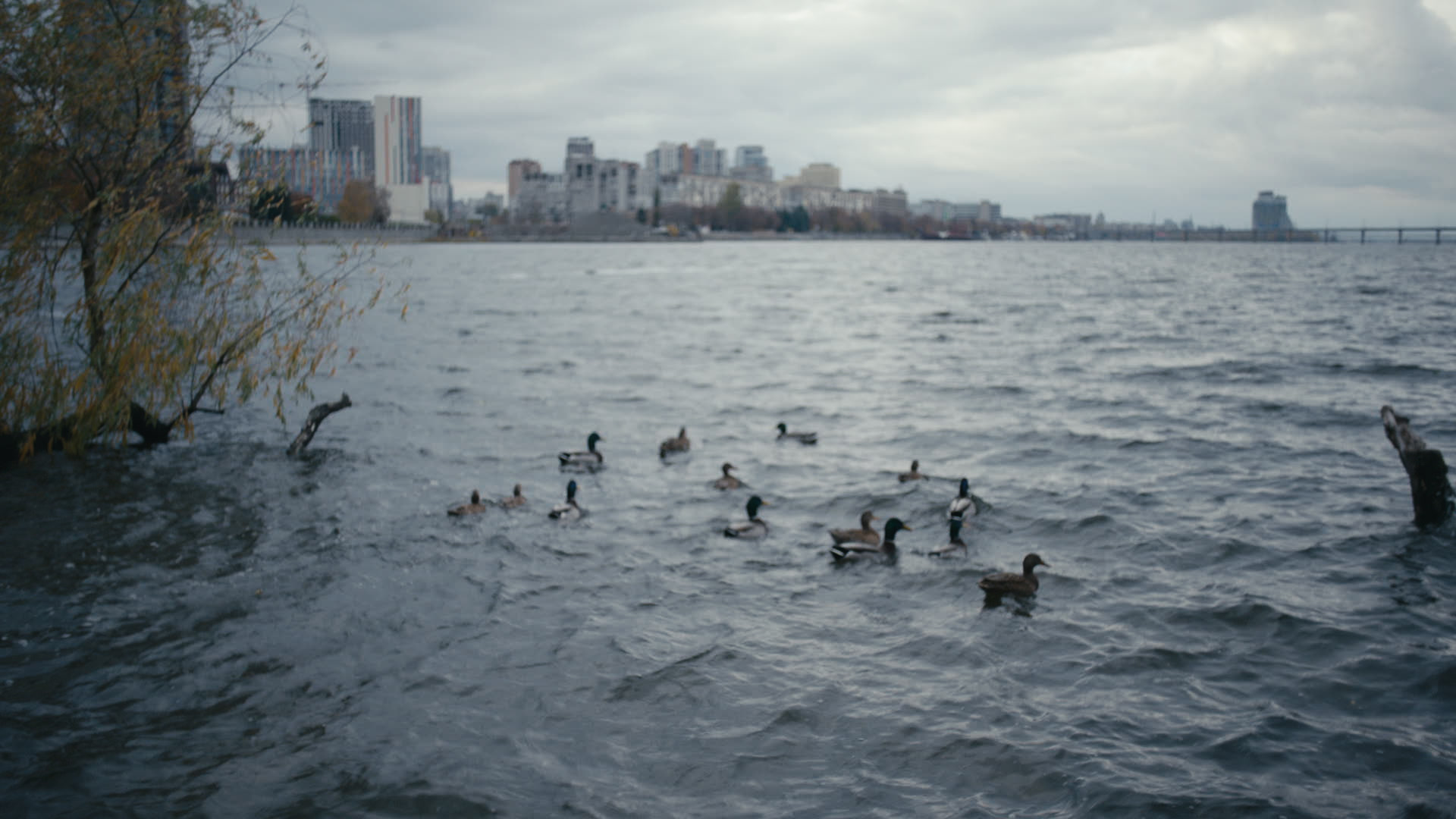 Keyframe: A037C006_2204204T