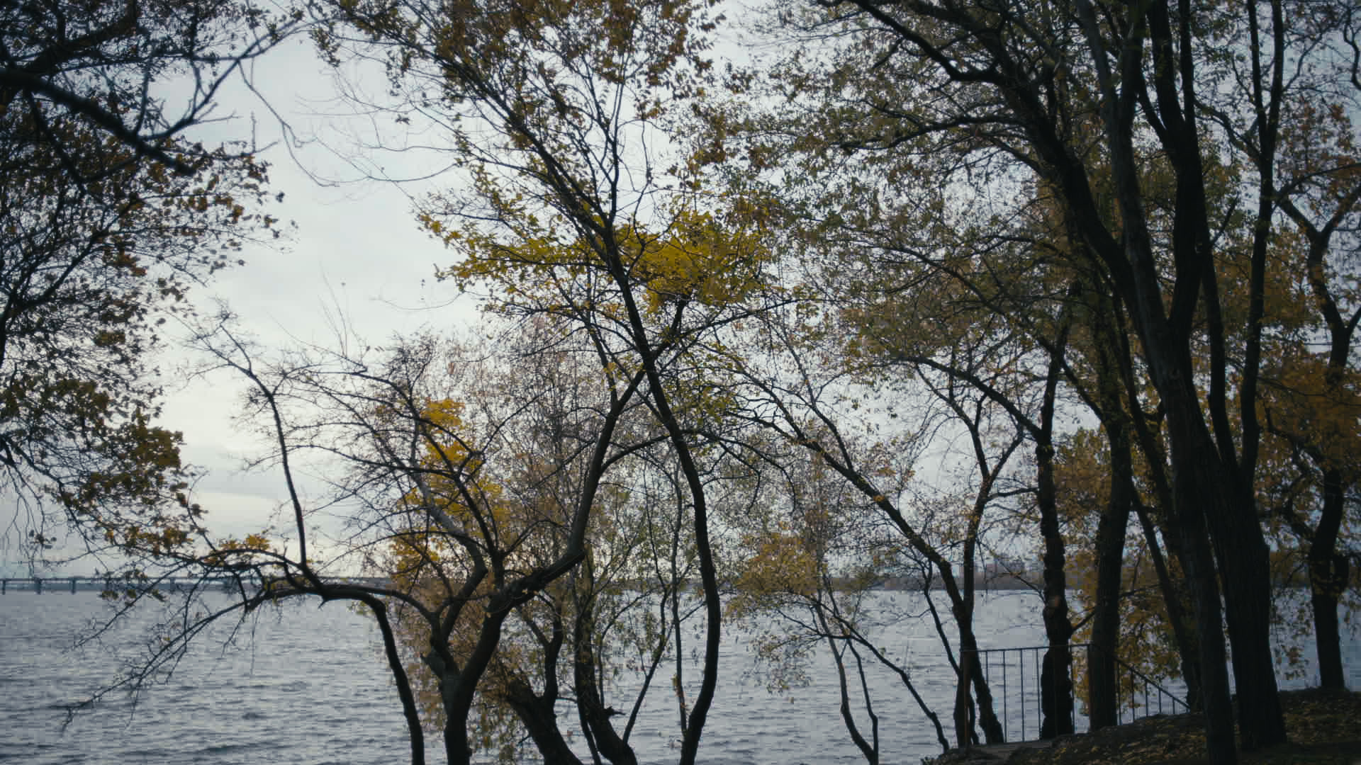 Keyframe: A037C008_22042013