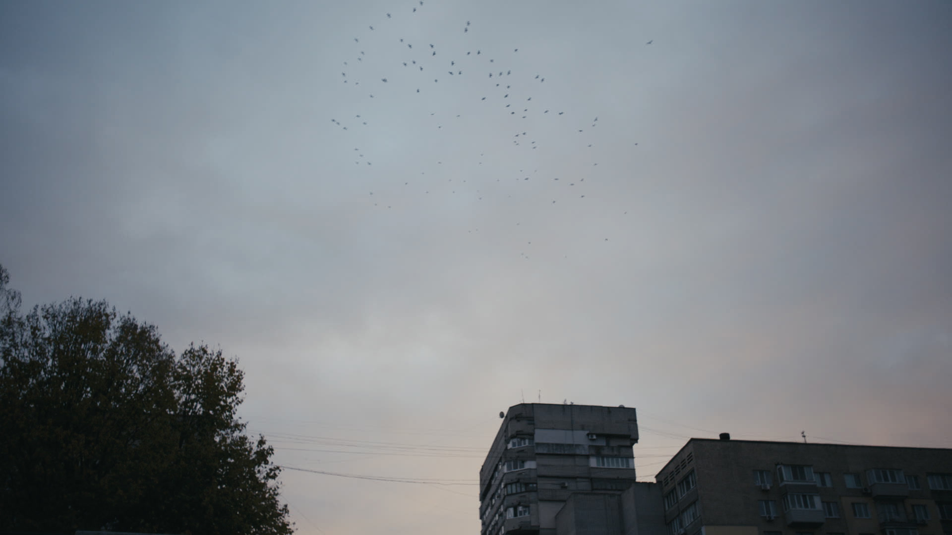 Keyframe: A037C059_22042068