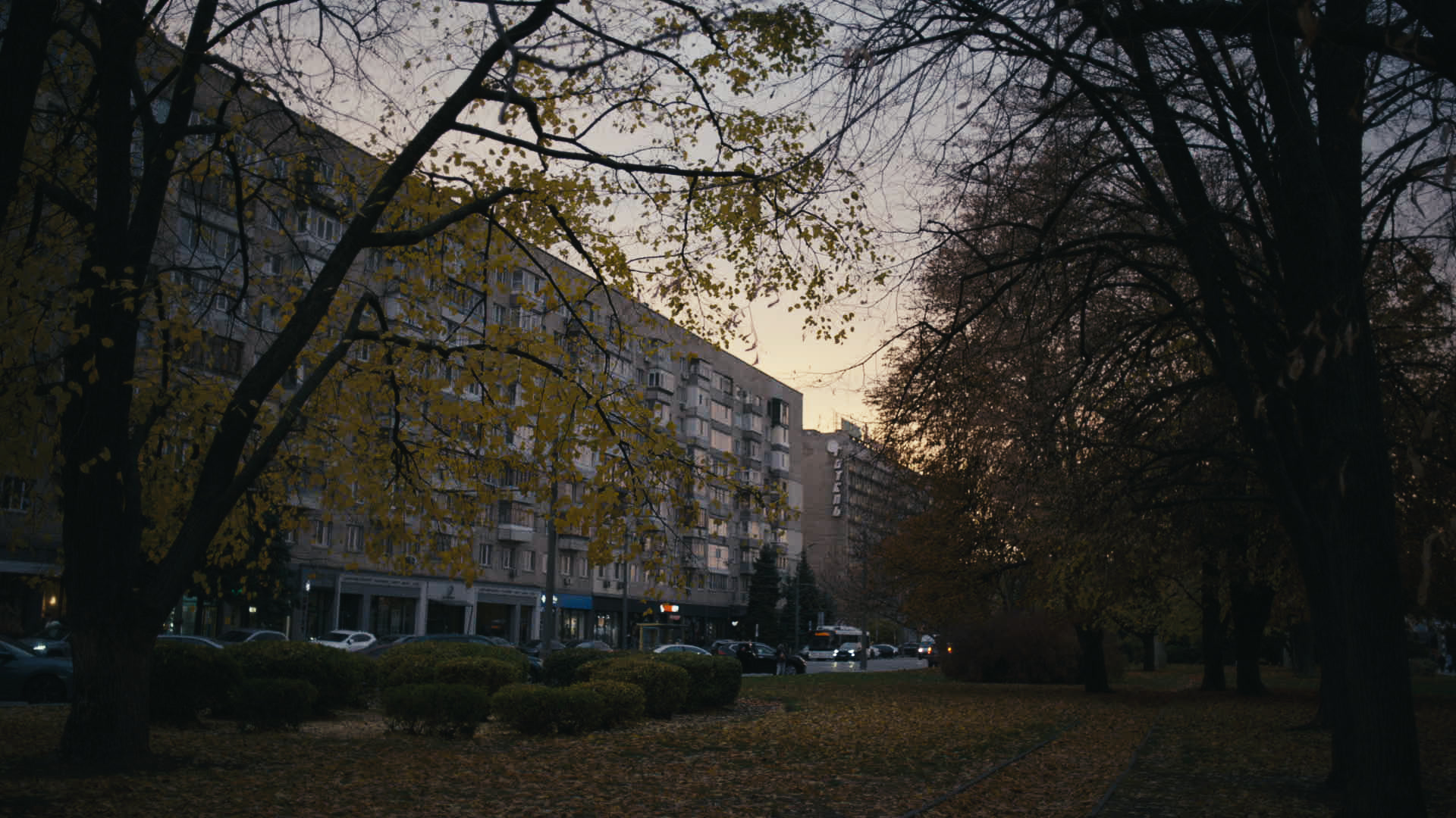 Keyframe: A037C064_2204200D