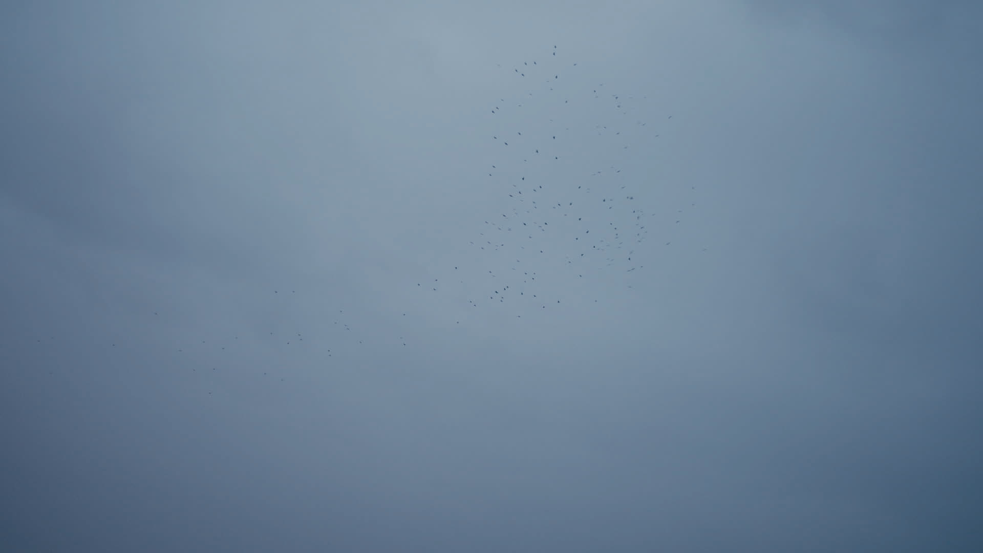 Keyframe: A037C070_220420NQ