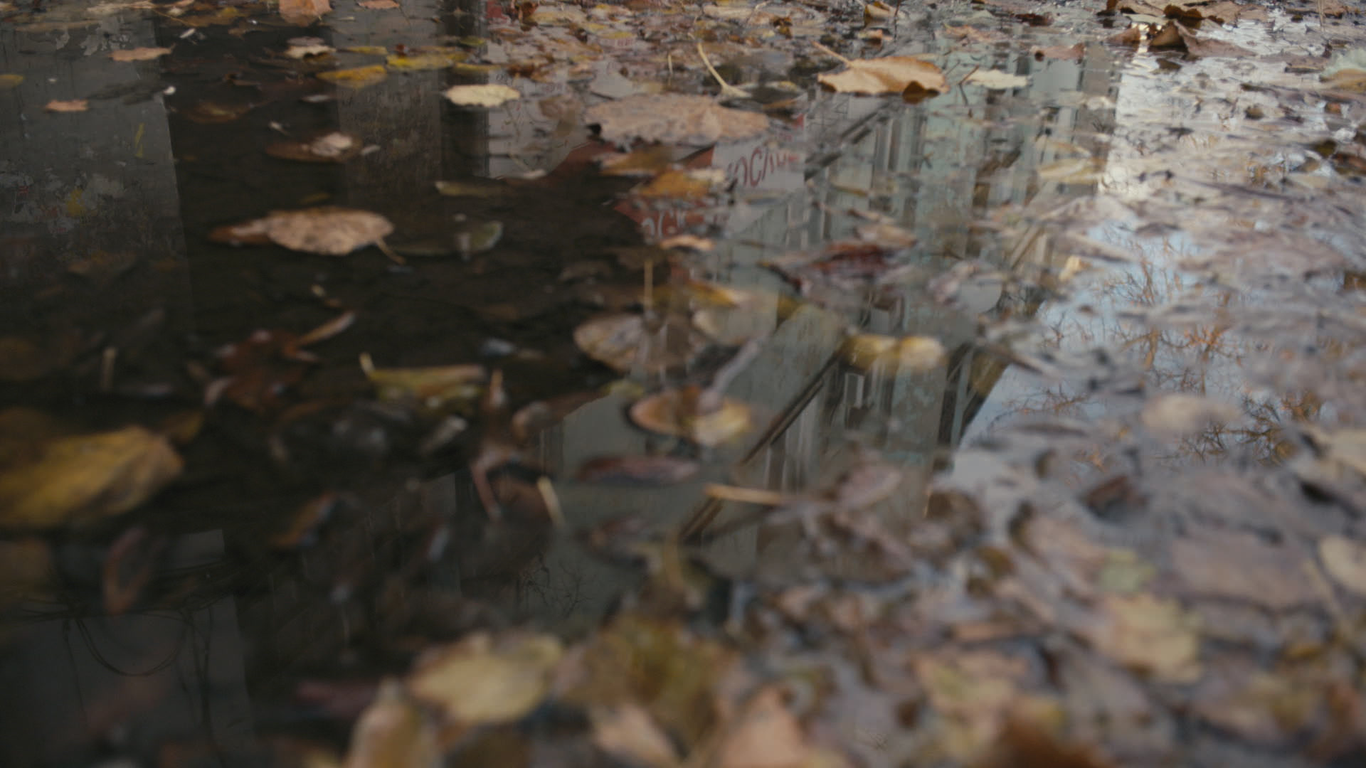 Keyframe: A040C049_220421VM