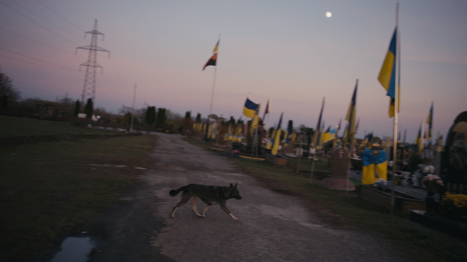 Keyframe: A040C096_220421NC