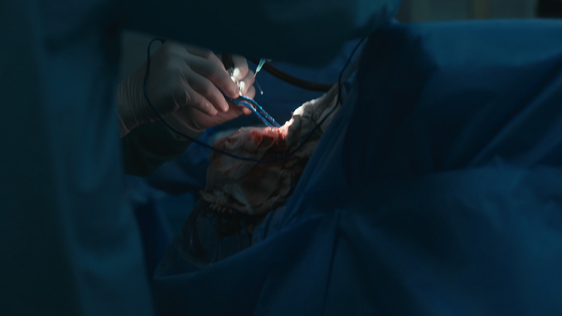 Keyframe: C005C012_2003203J